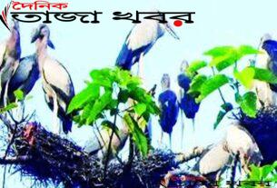 বাগান মালিকদের পাখির বাসার ভাড়া দিচ্ছে সরকারঃ দৈনিক তাজা খবর।
