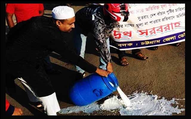 রাস্তায় দুধ ঢেলে খামারিদের দাম বাড়ানোর দাবিতে প্রতিবাদ; দৈনিক তাজা খবর
