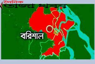 আওয়ামী লীগ নেতার বিরুদ্ধে মাছ লুটের অভিযোগ। দৈনিক তাজা খবর