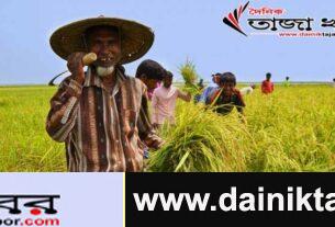 বঙ্গবন্ধু কৃষি পুরষ্কার পেয়েছে ৩২জন ব্যক্তি ও সংগঠনঃ দৈনিক তাজা খবর।