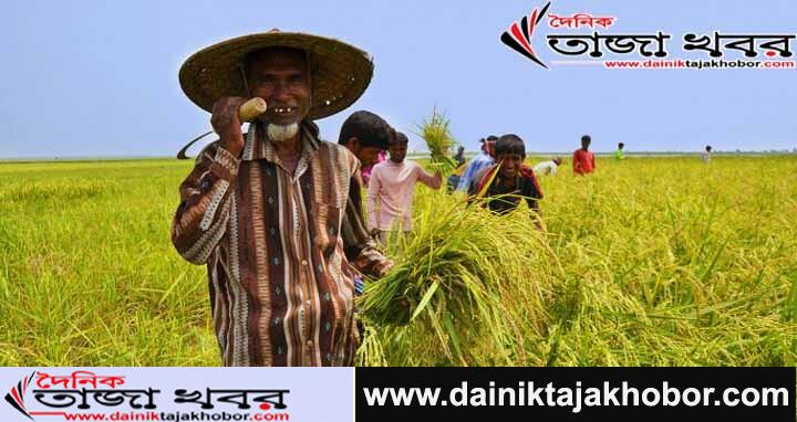 বঙ্গবন্ধু কৃষি পুরষ্কার পেয়েছে ৩২জন ব্যক্তি ও সংগঠনঃ দৈনিক তাজা খবর।