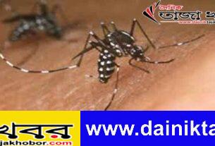 ঢাকায় ২৪ ঘন্টায় ১২জন ডেঙ্গু রোগী হাসপাতালে ভর্তি হয়েছেনঃ দৈনিক তাজা খবর।