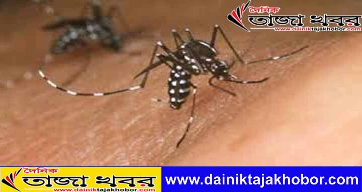 ঢাকায় ২৪ ঘন্টায় ১২জন ডেঙ্গু রোগী হাসপাতালে ভর্তি হয়েছেনঃ দৈনিক তাজা খবর।